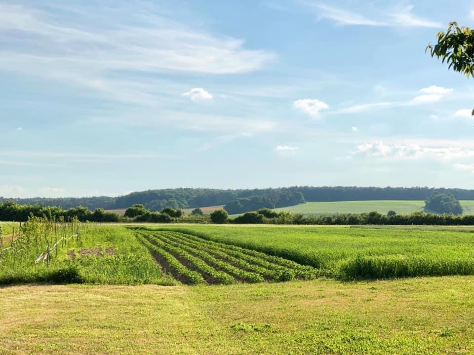 Agroturystyka „Nadbuzanski Swit” Wola Uhruska Extérieur photo