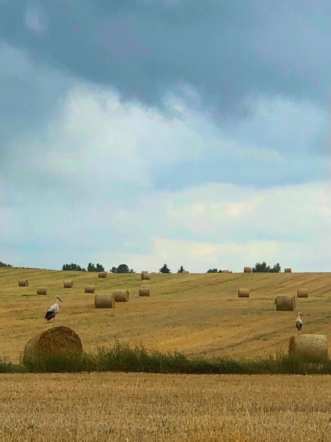 Agroturystyka „Nadbuzanski Swit” Wola Uhruska Extérieur photo