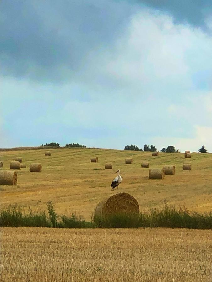 Agroturystyka „Nadbuzanski Swit” Wola Uhruska Extérieur photo